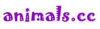 animals.cc Logo
