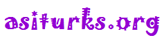 asiturks.org Logo