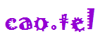 cao.tel Logo