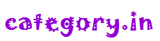 category.in Logo