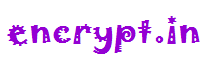 encrypt.in Logo